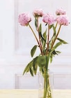 Bouquet de 5 pivoines - U - U Express à Nice Bouquet de 5 pivoines - U en promo chez U Express Nice à 5,99 €