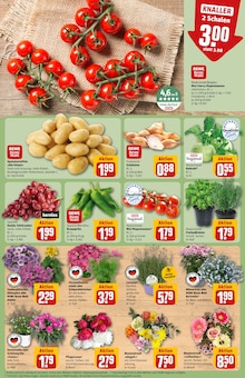 Kartoffeln im aktuellen REWE Prospekt (Nürnberg) Kartoffeln im REWE Prospekt "Dein Markt" mit 34 Seiten (Nürnberg)