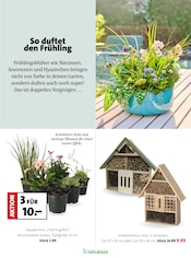 Garten im Blumen Ostmann Prospekt in Aurich Aktueller Blumen Ostmann Prospekt mit Garten, "Bring Schwung in dein Zuhause", Seite 16