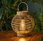 Solar Laterne Terra von  im aktuellen Pflanzen Kölle Prospekt für 9,99 €