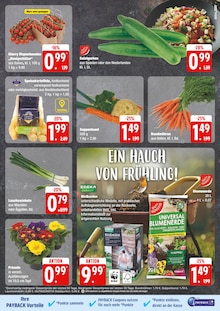 Mango Angebot im aktuellen EDEKA Prospekt auf Seite 11