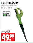 LAUBBLÄSER im Angebot bei Wreesmann in Stendal LAUBBLÄSER Angebote bei Wreesmann Stendal für 49,99 €