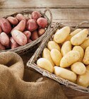 Pomme de terre de consommation à chair ferme - INTERMARCHÉ TERROIRS en promo chez Intermarché Express Cagnes-sur-Mer à 2,29 €