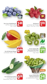 Salat im EDEKA Prospekt in Heidelberg Aktueller EDEKA Prospekt mit Salat, "Aktuelle Angebote", Seite 3