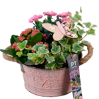 Ostergesteck mit großer Kerze Angebote bei EDEKA Lüneburg für 9,99 €