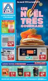 Catalogue Aldi "UN NOËL TRÈS GOURMAND" à Sainte-Alvère et alentours, 53 pages, 17/12/2024 - 23/12/2024