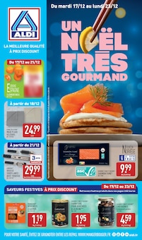 Prospectus Aldi de la semaine "UN NOËL TRÈS GOURMAND" avec 1 pages, valide du 17/12/2024 au 23/12/2024 pour Castelsarrasin et alentours