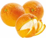 EDEKA Dorsten - Südafrika Orangen "Midnights" Angebot im Prospekt Südafrika Orangen "Midnights" bei EDEKA im Dorsten Prospekt für 0,77 €