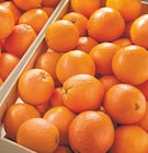 Filet de 3 kg d'oranges dans le catalogue Netto