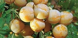 Super U Montreuil - Promo Fruitier demi-tige Promo Fruitier demi-tige à 22,99 € dans le catalogue Super U à Montreuil