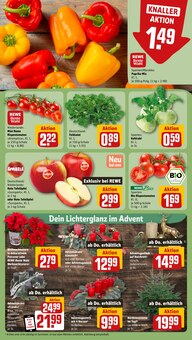 Tomaten im REWE Prospekt "Dein Markt" mit 24 Seiten (Bremen)