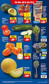 Ähnliche Weihnachtsstern Angebote im Prospekt "LIDL LOHNT SICH" von Lidl in Stralsund Ähnliche Angebote wie Weihnachtsstern im Prospekt "LIDL LOHNT SICH" auf Seite 7 von Lidl in Stralsund