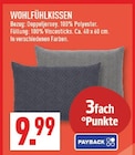 WOHLFÜHLKISSEN bei Marktkauf im Blomberg Prospekt für 9,99 €