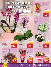 Blumen im Netto Marken-Discount Prospekt "Aktuelle Angebote" mit 75 Seiten (Magdeburg)