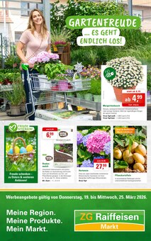 Hortensie im ZG Raiffeisen Prospekt "GARTENFREUDE….ES GEHT ENDLICH LOS!" mit 8 Seiten (Pforzheim)