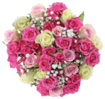Aktuelle Blumen Angebote bei Kaufland in Cottbus Aktuelles Sprayrosen-Mix-Strauß Angebot bei Kaufland in Cottbus ab 14,99 €