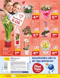 Geschenktüte Angebot & Preis im aktuellen Netto Marken-Discount Prospekt Geschenktüte Angebot im aktuellen Netto Marken-Discount Prospekt auf Seite 14