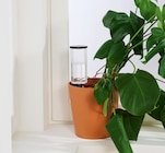Arrosage goutte à goutte pour plantes - Parkside - Lidl à Béziers Arrosage goutte à goutte pour plantes - Parkside en promo chez Lidl Béziers à 2,99 €