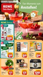 REWE Supermarkt Prospekt der aktuellen Woche mit 28 Seiten, gültig von 15.06.2026 bis 20.06.2026, in Bad Wimpfen und Umgebung Aktueller REWE Supermarkt Prospekt in Bad Wimpfen und Umgebung, "Dein Markt" mit 28 Seiten, 15.06.2026 - 20.06.2026