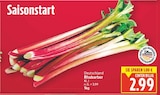 Rhabarber im aktuellen E center Prospekt
