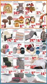 Aktueller Wreesmann Prospekt mit Kopfkissen, "DEIN SAISON- & SONDERPOSTENMARKT!", Seite 6