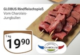 Aktuelles Rindfleischspieß Angebot bei GLOBUS in Braunschweig ab 19,90 €