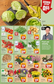 Blumen im aktuellen REWE Prospekt (Nürnberg) Blumen im REWE Prospekt "Dein Markt" mit 26 Seiten (Nürnberg)