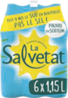 Eau pétillante - LA SALVETAT dans le catalogue Carrefour