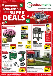 Aktueller Hagebaumarkt Prospekt (Kropp, 8 Seiten zum blättern Hagebaumarkt Prospekt SCHNAPP DIR DIE SUPER DEALS mit 8 Seiten