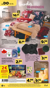 Kerzen im Netto mit dem Scottie Prospekt "Günstig. Besser. Für Dich." mit 43 Seiten (Cottbus)