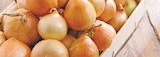 Oignon jaune à Intermarché dans Montmagny