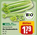 Bio Staudensellerie im Angebot bei REWE in Greifswald Bio Staudensellerie Angebote von REWE bei REWE Greifswald für 1,79 €