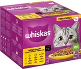 Raiffeisen Markt Neunkirchen - MULTI PACK 24 x 85 g Frischebeutel Angebot im Prospekt MULTI PACK 24 x 85 g Frischebeutel bei Raiffeisen Markt Neunkirchen im Prospekt "" für 7,49 €