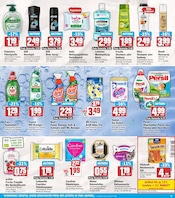 Aktueller HIT Prospekt mit Persil, "ECHTE VIELFALT", Seite 15