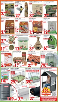 Gewächshaus im Wreesmann Prospekt "DEIN SAISON- & SONDERPOSTENMARKT!" mit 8 Seiten (Dresden)