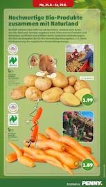 Kartoffeln im Penny Prospekt in Greifswald Aktueller Penny Prospekt mit Kartoffeln, "Wer günstig will, muss Penny.", Seite 7