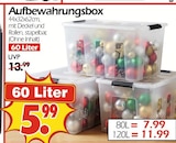 Wreesmann Coswig - Aufbewahrungsbox Angebot im Prospekt Aufbewahrungsbox bei Wreesmann im Coswig Prospekt für 5,99 €