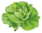 Kopfsalat Angebot in Erftstadt Kopfsalat im aktuellen Prospekt bei REWE in Erftstadt