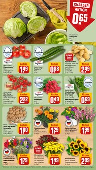 Blumen im aktuellen REWE Prospekt (Augsburg) Blumen im REWE Prospekt "Dein Markt" mit 18 Seiten (Augsburg)
