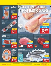 Aktueller Netto Marken-Discount Prospekt mit Forelle, "Aktuelle Angebote", Seite 49