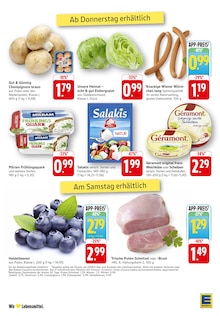 Schnitzel im EDEKA Prospekt "Aktuelle Angebote" mit 37 Seiten (Mannheim)