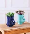 Plantes vertes - Super U à Besançon Plantes vertes en promo chez Super U Besançon à 7,99 €