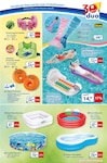 Schwimmbecken Schwimmbecken