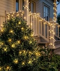 Lichterkette Glänsa 5 m im Angebot bei Rusta in Neumünster Lichterkette Glänsa 5 m Angebote bei Rusta Neumünster für 1,99 €