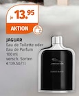 JAGUAR Angebote bei Müller Hilden für 13,95 €