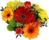 Aktuelle Blumen Angebote bei REWE in Oberhausen Aktuelles Blumenstrauß »Herbstzauber« Angebot bei REWE in Oberhausen ab 9,99 €