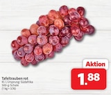 Markant Nordwest Borkum - Tafeltrauben rot Angebot im Prospekt Tafeltrauben rot bei Markant Nordwest im Borkum Prospekt für 1,88 €