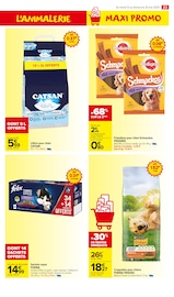Croquettes Chien Angebote im Prospekt "MAXI PROMO MINI PRIX" von Carrefour Market Croquettes Chien Angebote im Prospekt "MAXI PROMO MINI PRIX" von Carrefour Market auf Seite 25