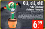 Knolles Markt - Deutschland-Fan-Kaktus Angebot im Prospekt Deutschland-Fan-Kaktus bei Knolles Markt im Prospekt "" für 6,99 €