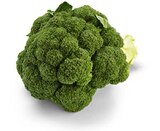 Broccoli Angebote von HEIMAT bei Netto Marken-Discount Offenbach für 0,99 €